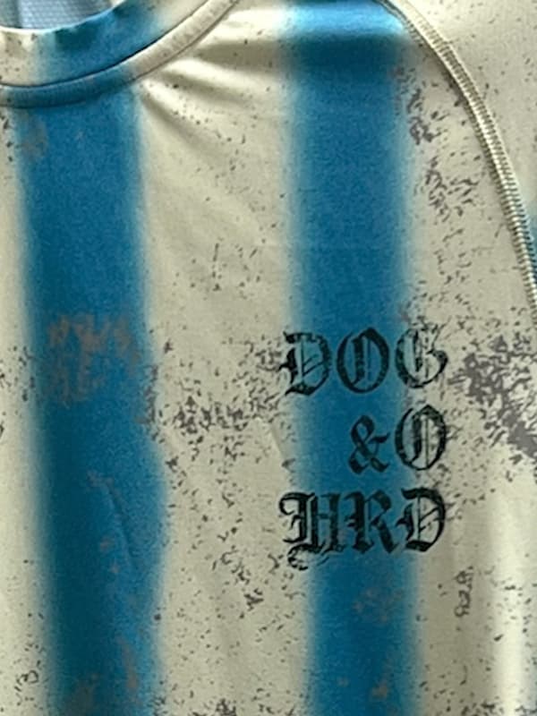 hed-101-s3.jpg
